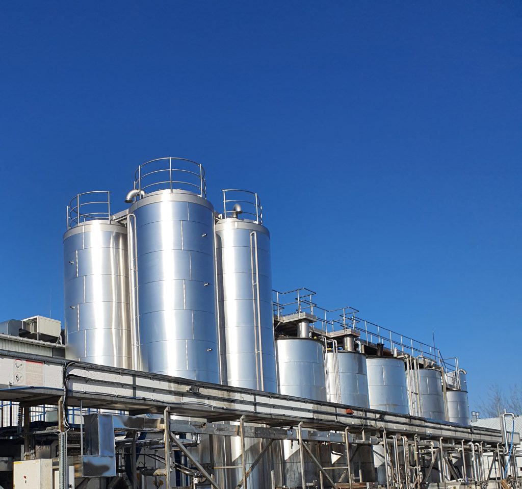 Novas Cultivares De Soja Combinam Alta Produtividade E Resistência A Doenças | MM Cereais